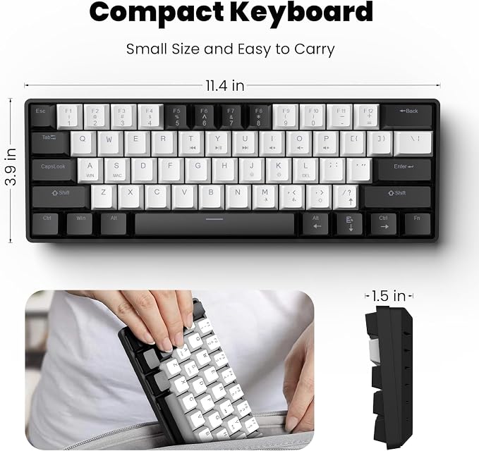Black+White+Mouse