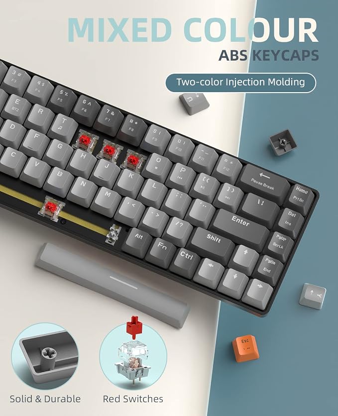 Light gray/Red Switch
