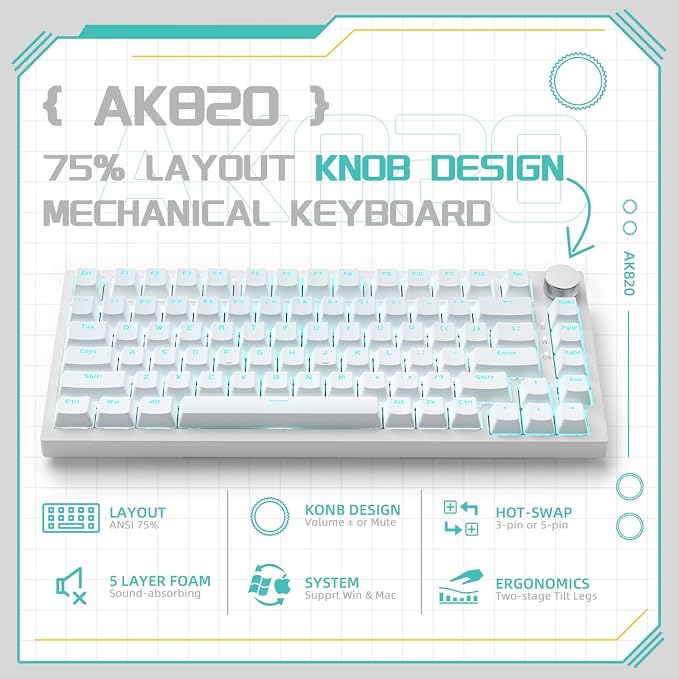 white/blue switches