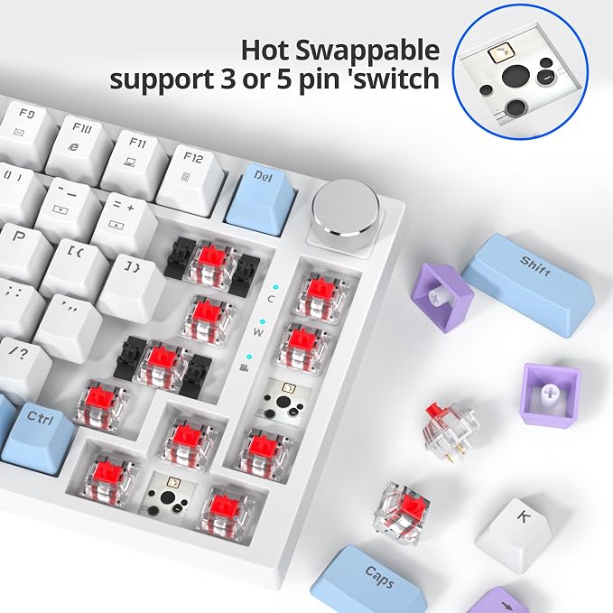 PurpleWhite-RedSwitch