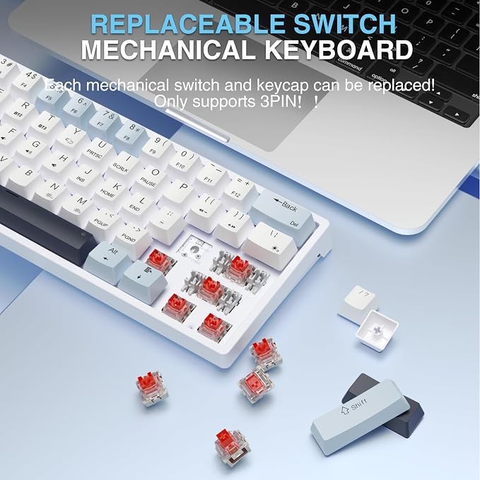SK961-whiteblue-redswitch
