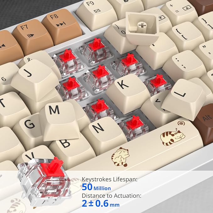 82 Coffee Cat/Red Switch