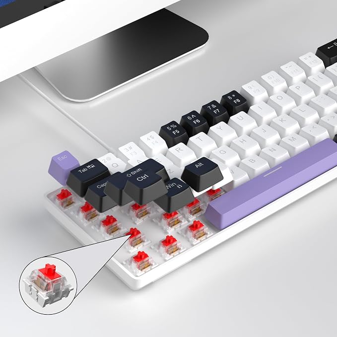 Purple/Red Switch