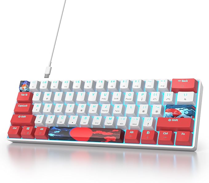61Hongbai