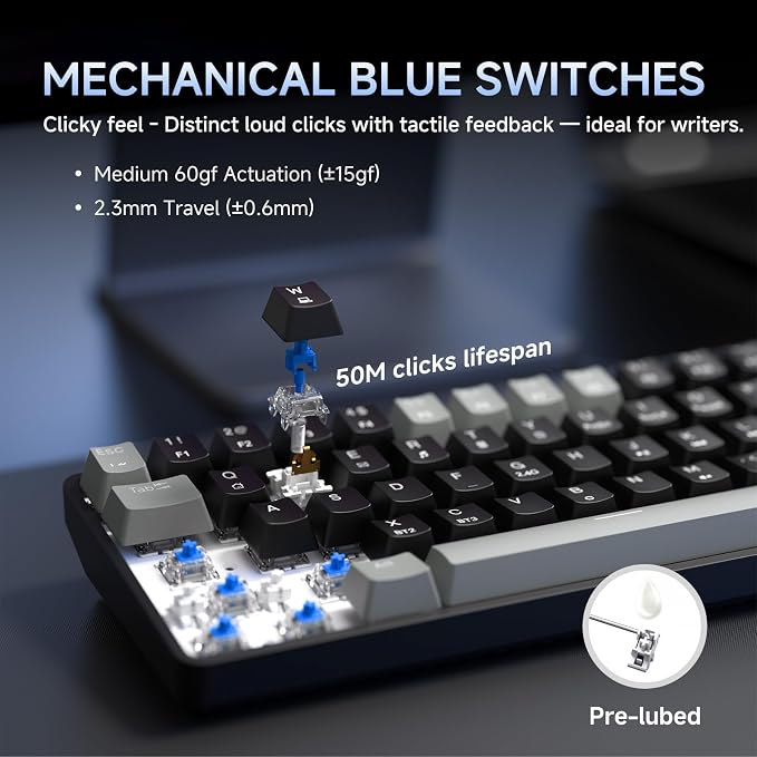 Grey Black/Blue Switch