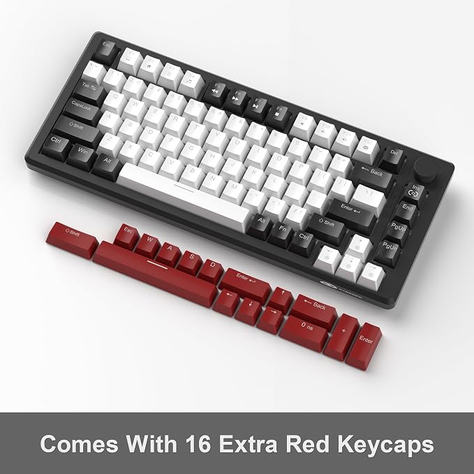 Black & White - Red Switch