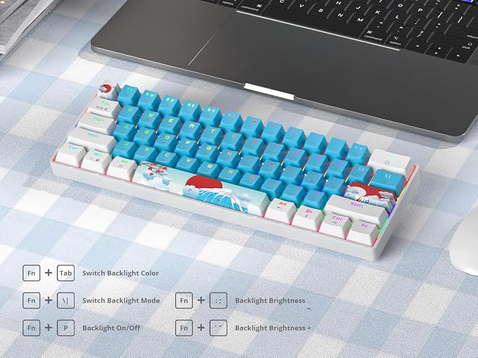 61 Blue/Red Switch