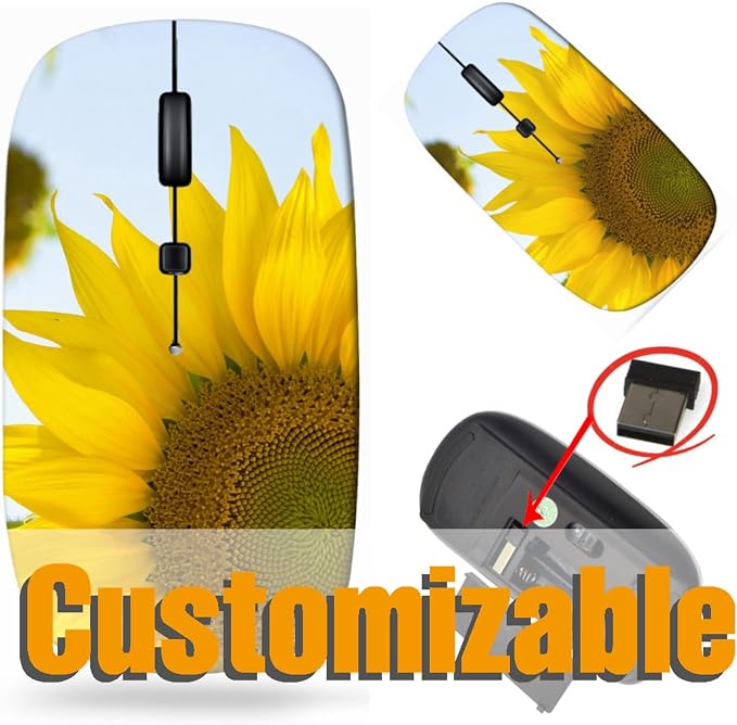 BYADAUaRBA_SUNFLOWER IS BLOSSOM_758