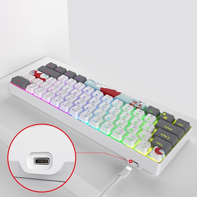 White/ Red Switch