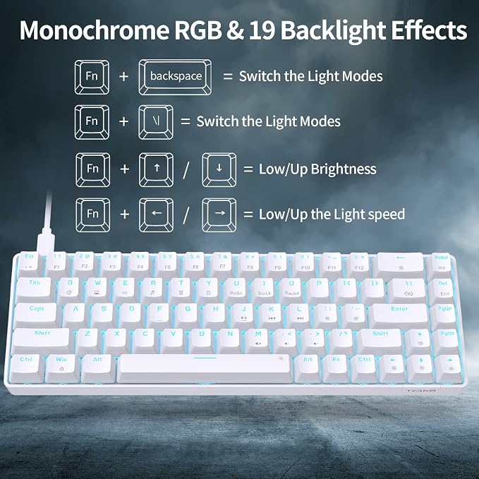 White/Blue Switch