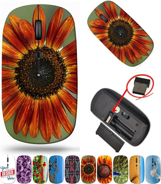 BYADAUanjA_SUNFLOWER_291