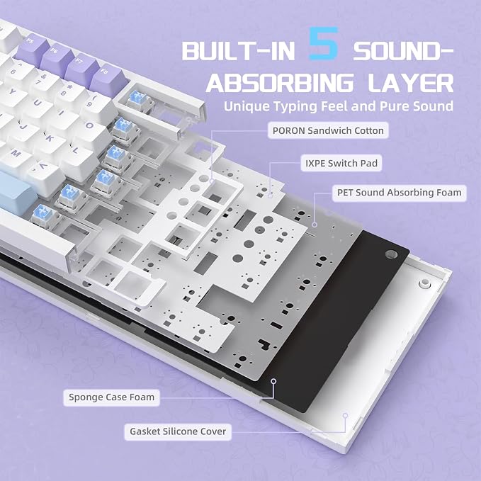 purple white blue-C02/flying fish switches