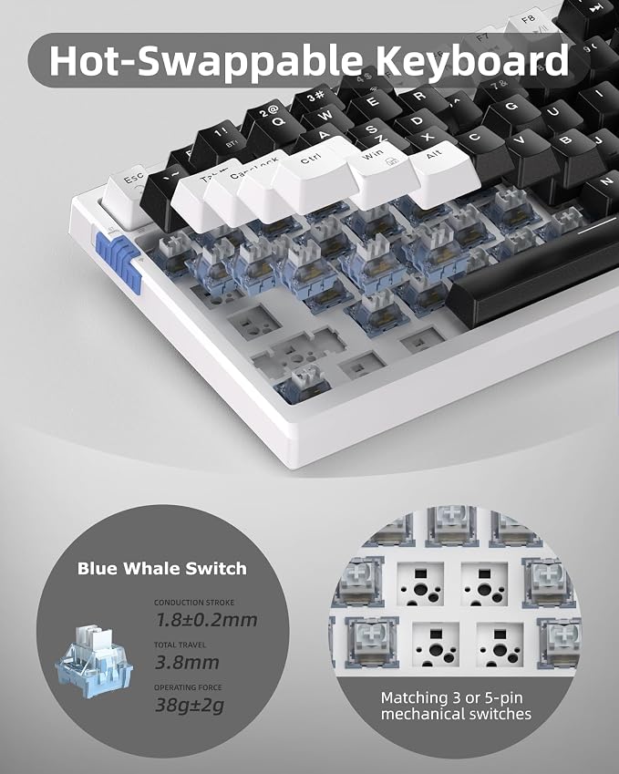 Mecha / Blue Whale Switch