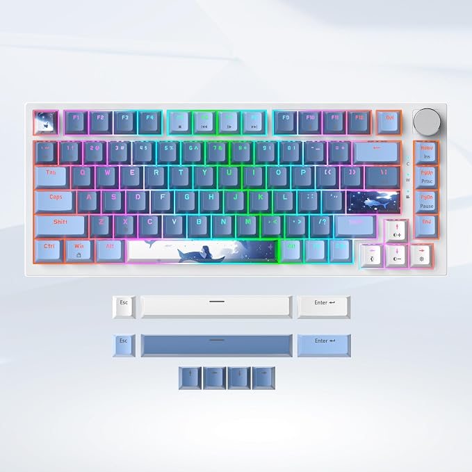 Fog Blue /Red Switch