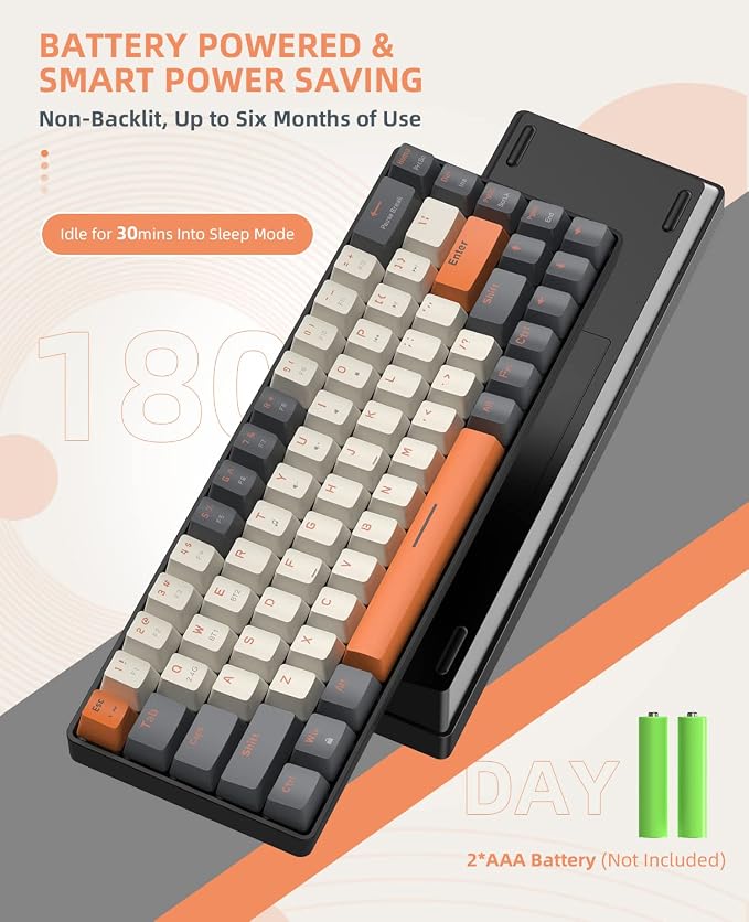 white & Orange/Red Switch