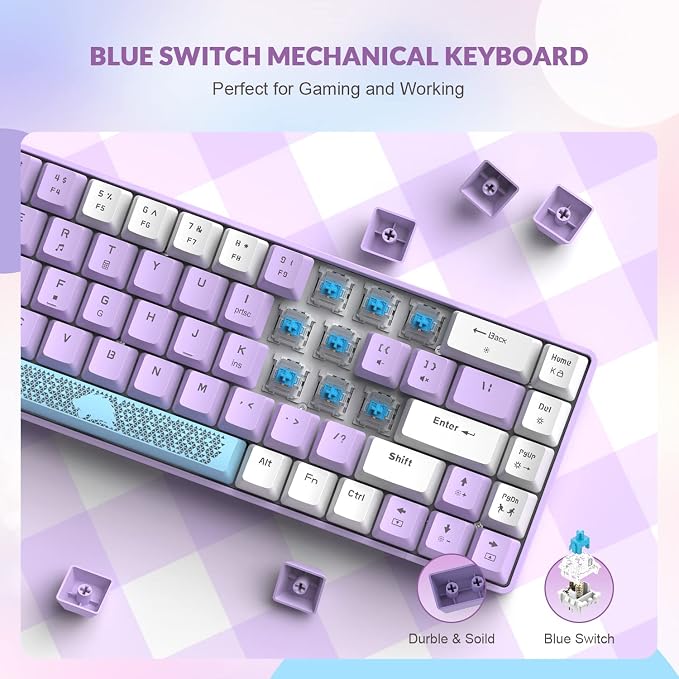 Lavender