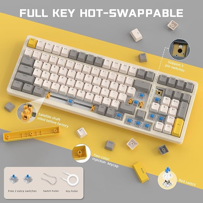 Cheese/Hot-swap Blue Switch