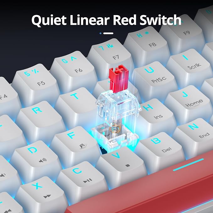 61 Black & White/Red Switch