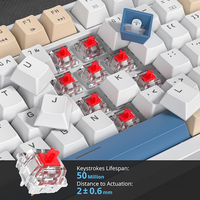 Soy Milk /Red Switch