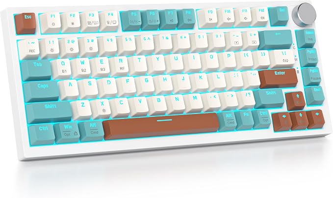 Brown/GrayCreamSwitch