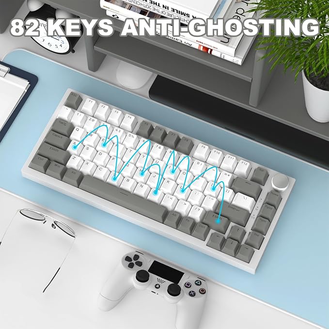 White Grey (AS Switch)