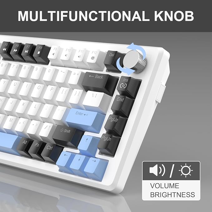 White & Blue - Brown Switch