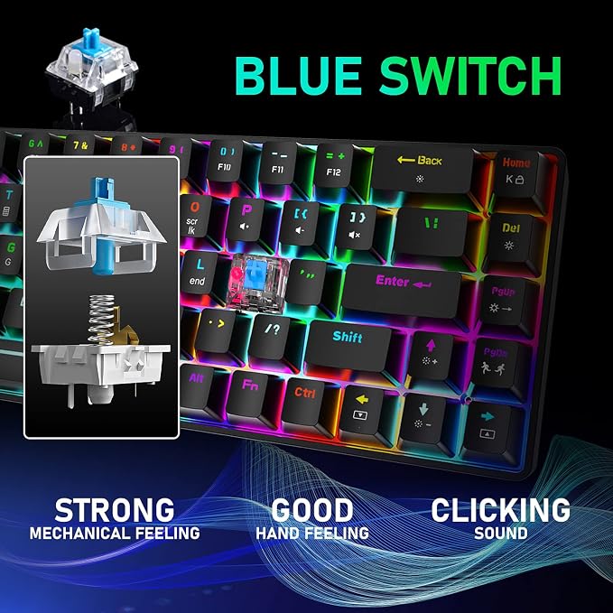 black/blue switch