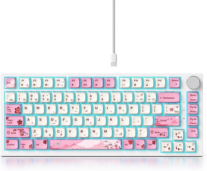 PinkWhite-RedSwitch