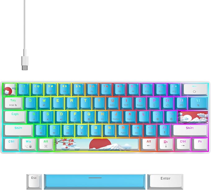 61 blue /Red Switch