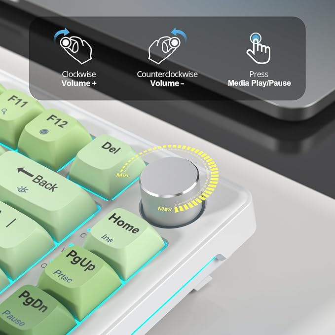 82 Matcha Green/White Switch