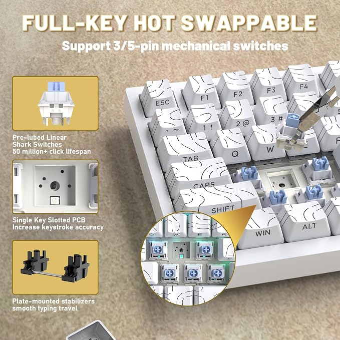 white contour/shark switches