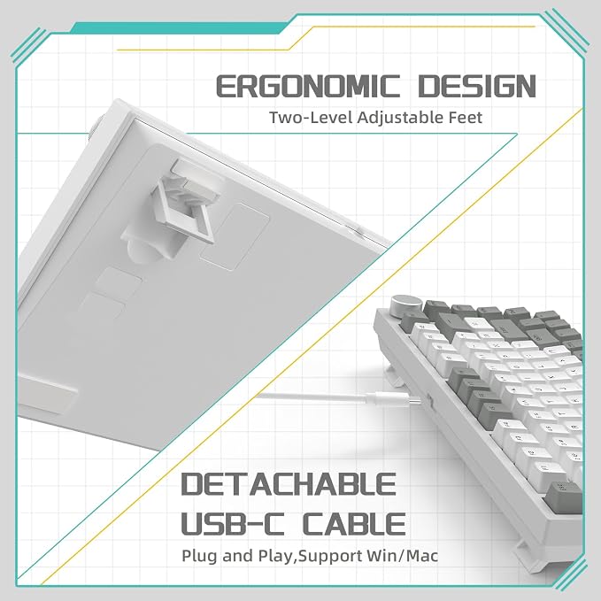 grey white/AS red switches
