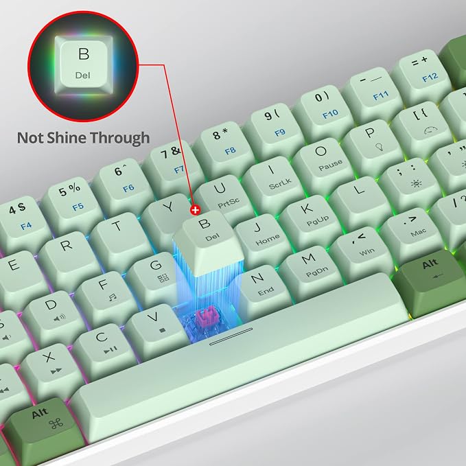 61 Matcha/Red Switch