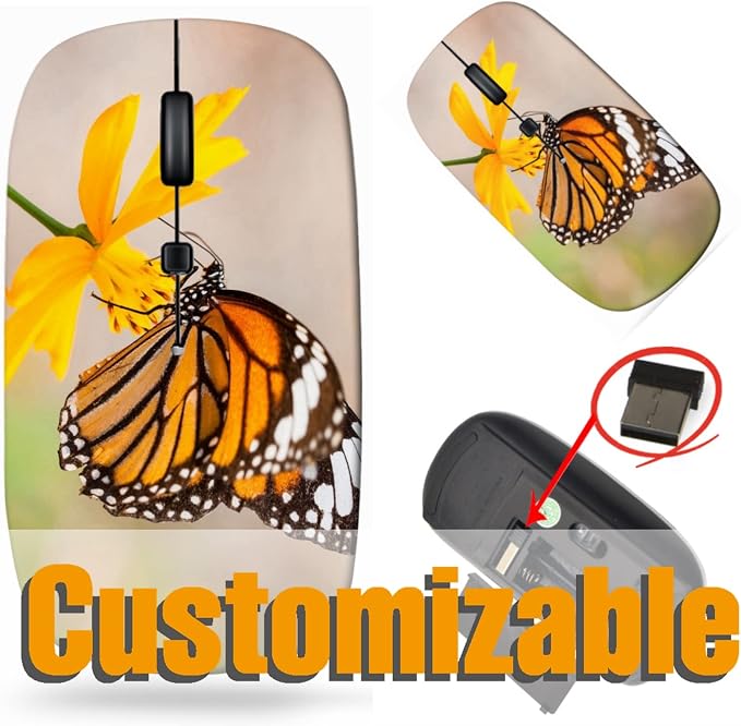 BYADAUanEA_MONARCH BUTTERFLY ON_272