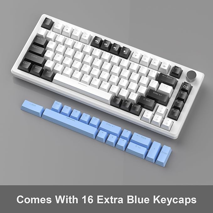White & Blue - Brown Switch