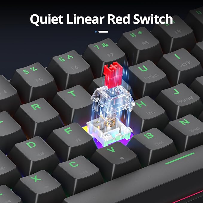 61 Sound Waves B/Red Switch