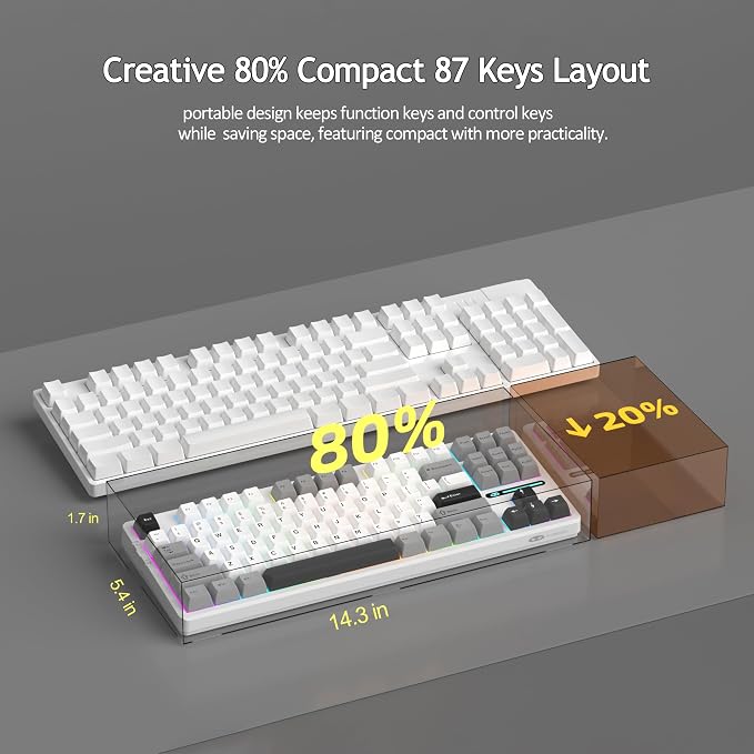 White Grey/Blue Whale Switch