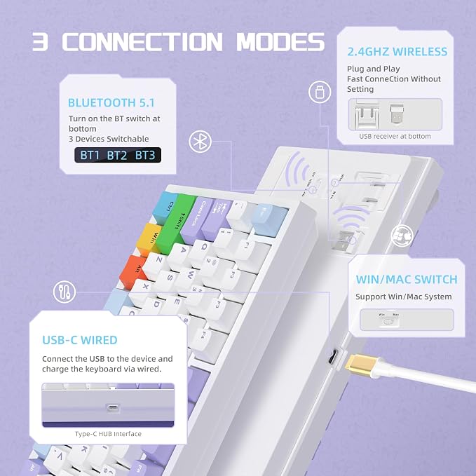 purple white blue-C02/flying fish switches