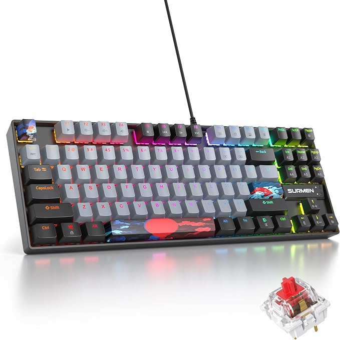 87 Dolch/Red Switch