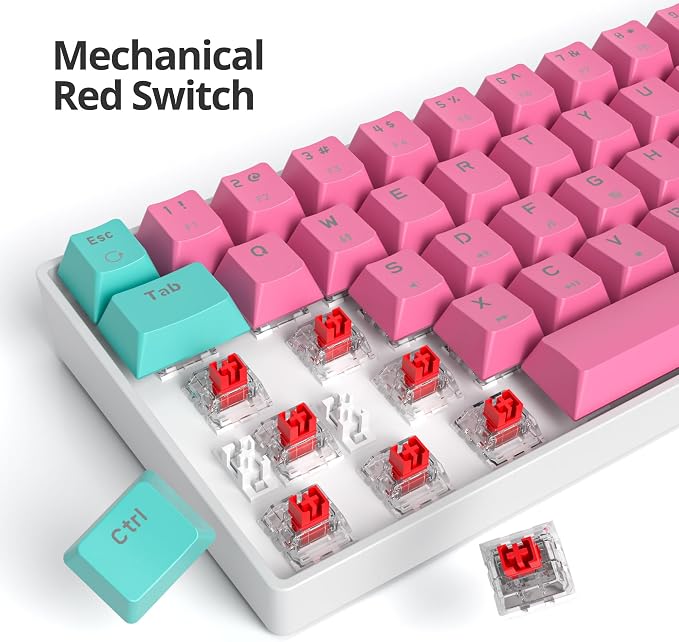 68 Miami/Red Swicth