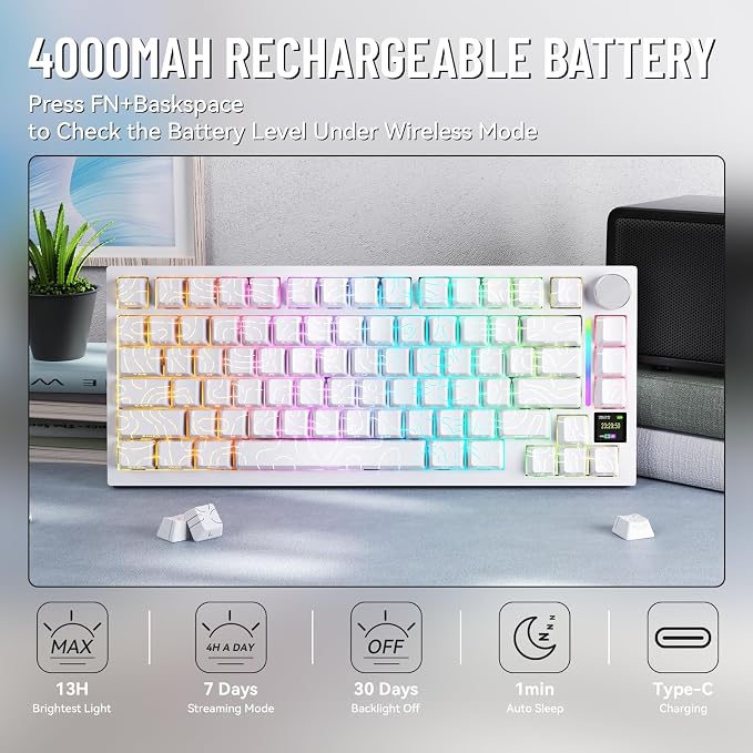 White Contour (Gift Edition Switch)