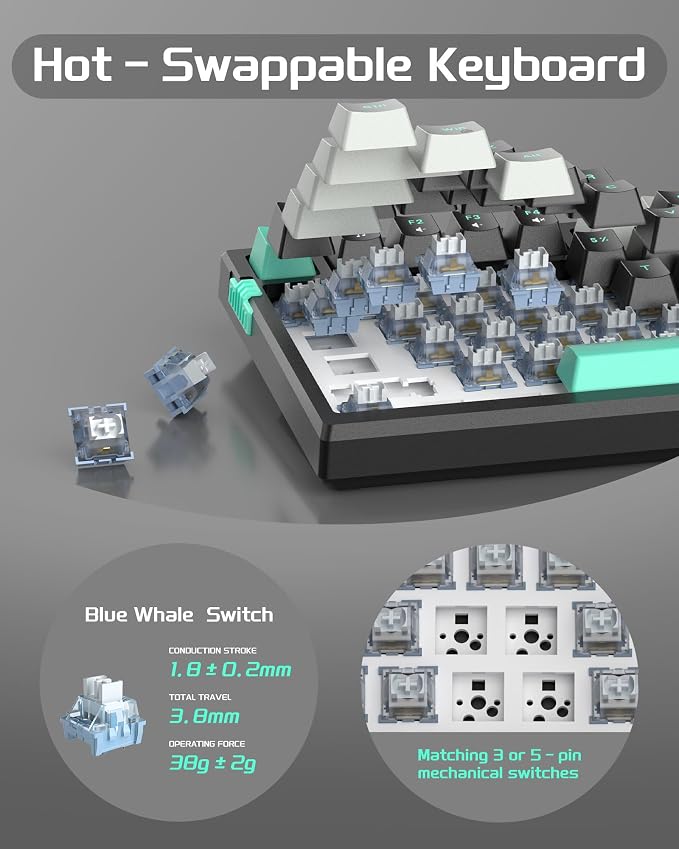 Dark Elf / Blue Whale Switch