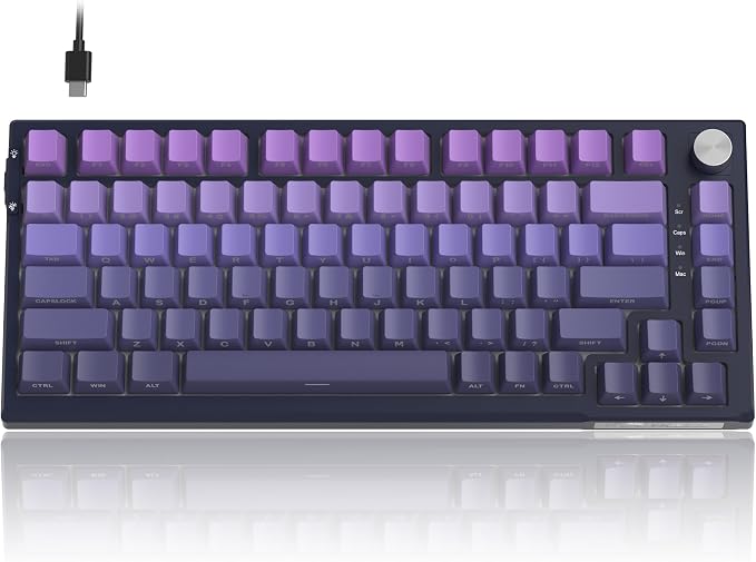 Dark Purple / Blue Whale Switch