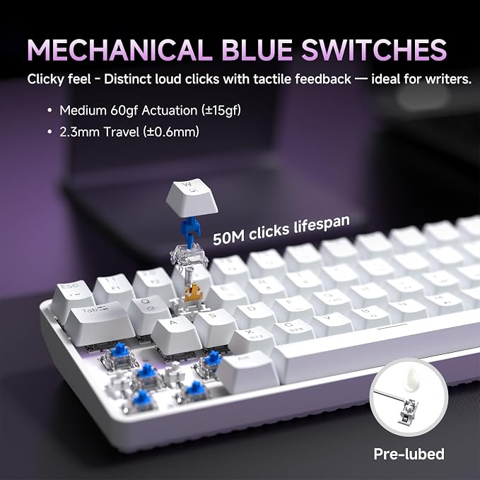 White/Blue Switch