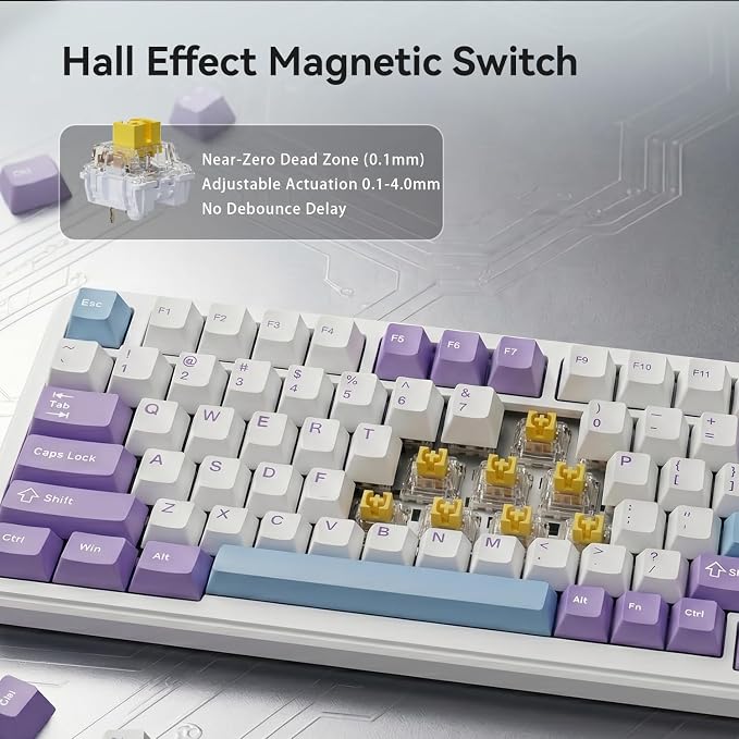 Magnetic Switch Purple-White