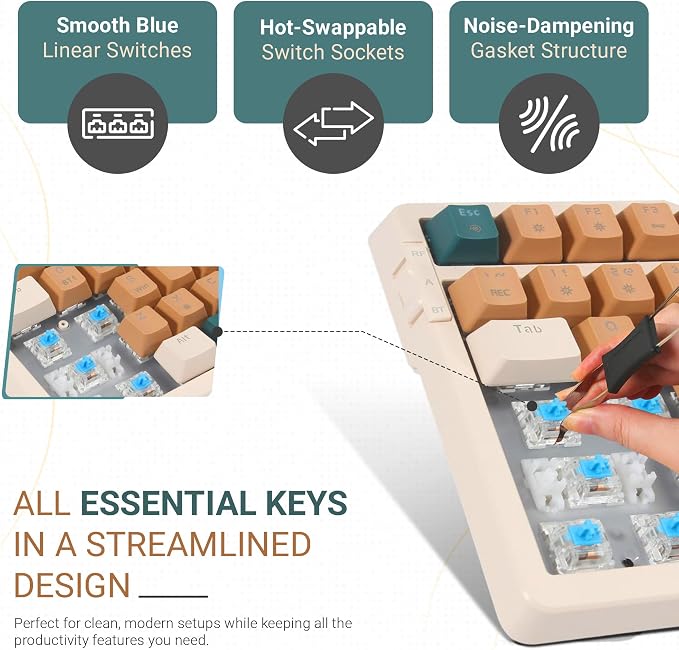 Blue Switch-Brown Combo