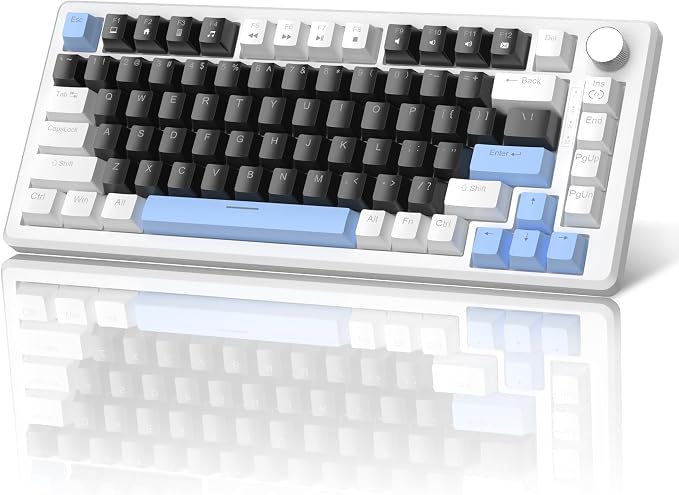Black & Blue - Black Switch
