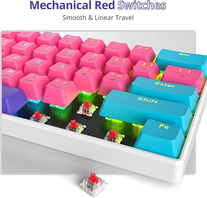 61 Zhi/Red Switch