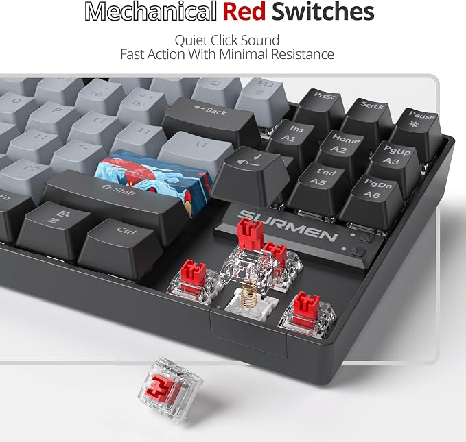 87 Dolch/Red Swicth