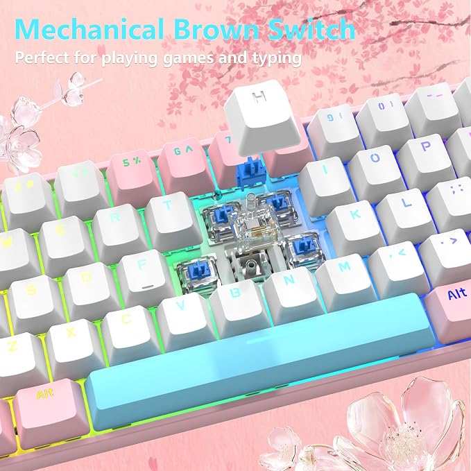 Pink/Blue Switch